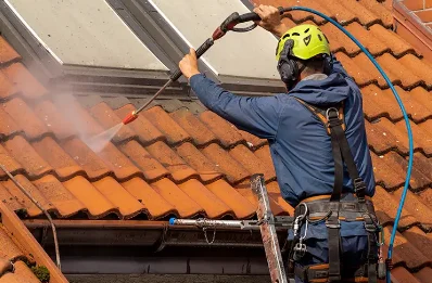 Démoussage et hydrofuge de toiture à Thaims